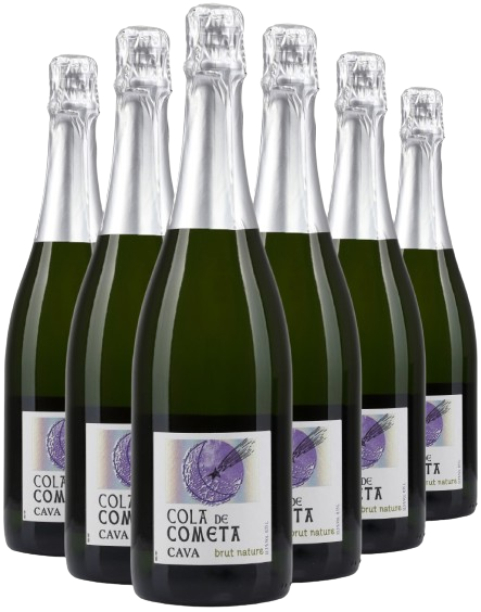Вино ігристе Cava Cola de Cometa / Кава Кола де Комета біле брют 0,75л 12% х 6 шт.