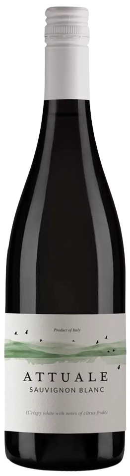 Вино Attuale Sauvignon Blanc / Аттуалє Совіньйон Блан біле сухе 0,75л 11,5%
